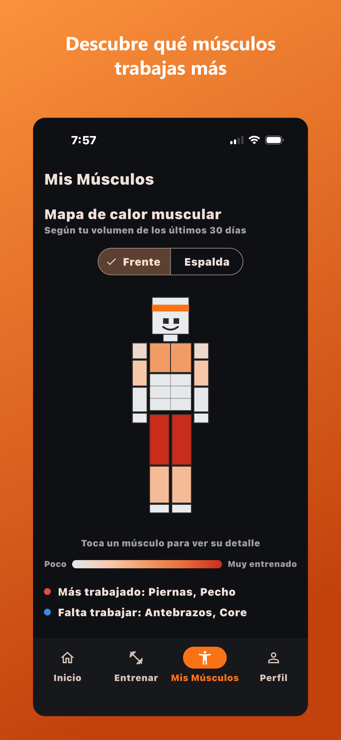 Clon digital de GymPo: mapa de calor muscular según tu volumen de entreno